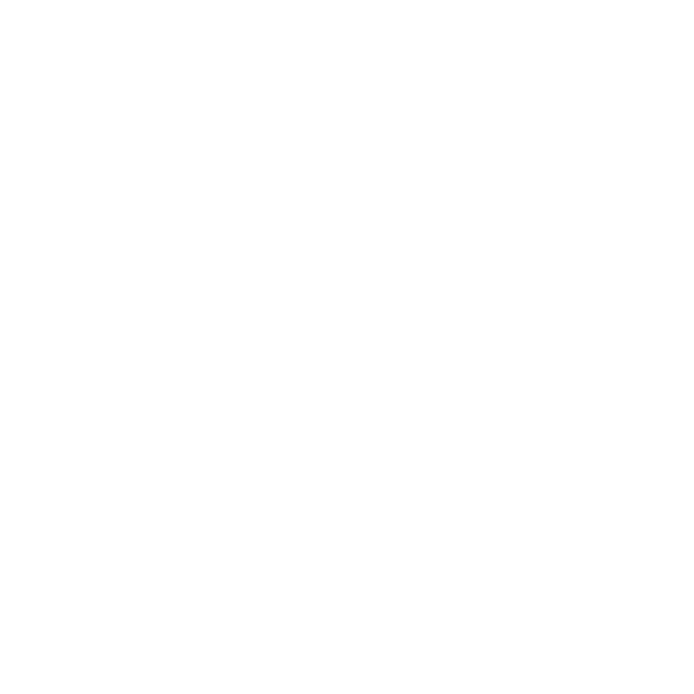 Marriage Immigration