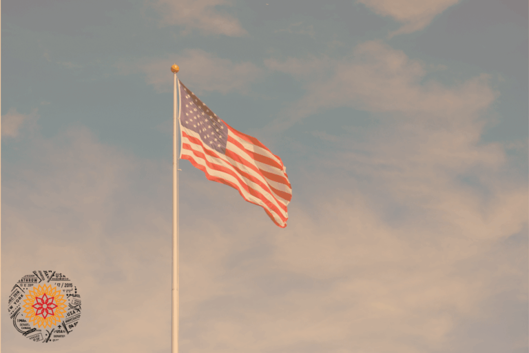 U.S. citizenship with criminal record